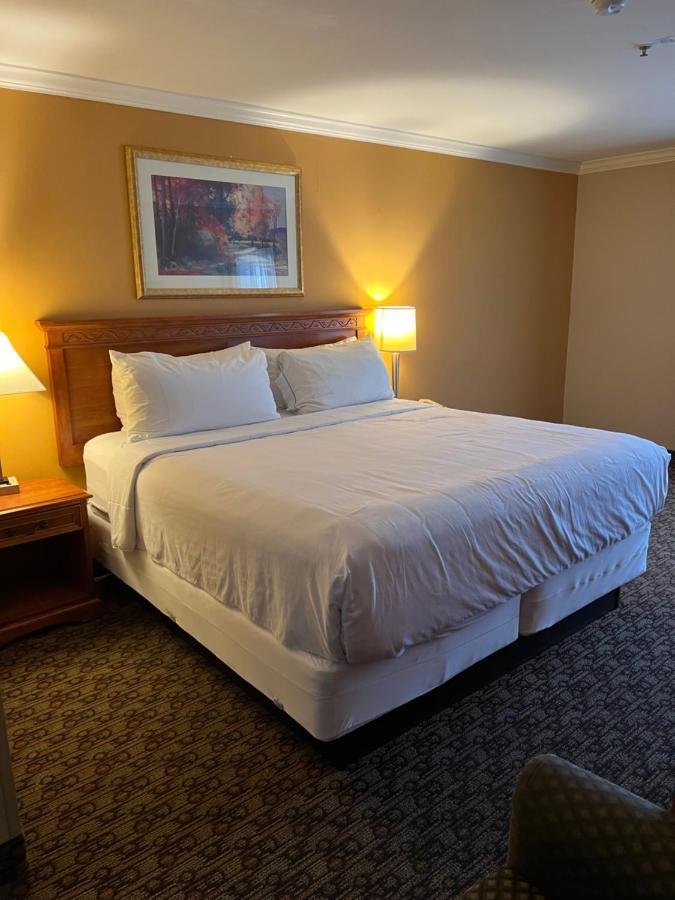 Hotel Xola Moreno Valley Εξωτερικό φωτογραφία